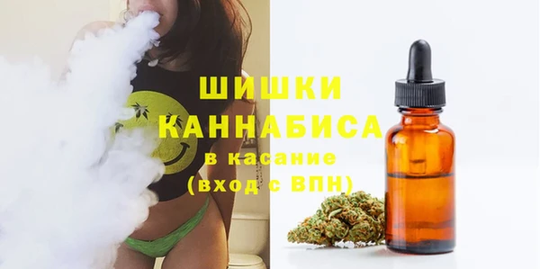 ECSTASY Богородицк