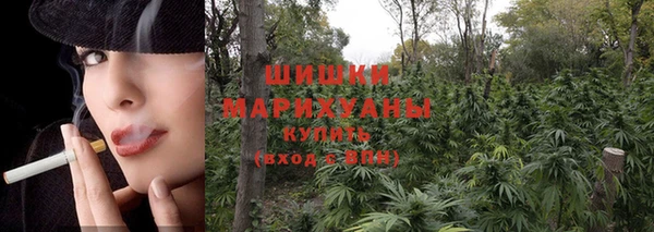 ECSTASY Богородицк