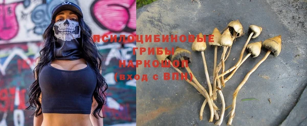 герыч Богородск