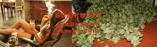 ECSTASY Богородицк