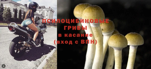 ALPHA PVP Бородино