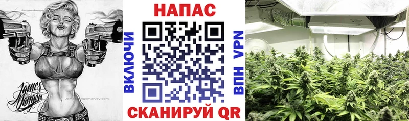 Каннабис индика  как найти закладки  Харовск 